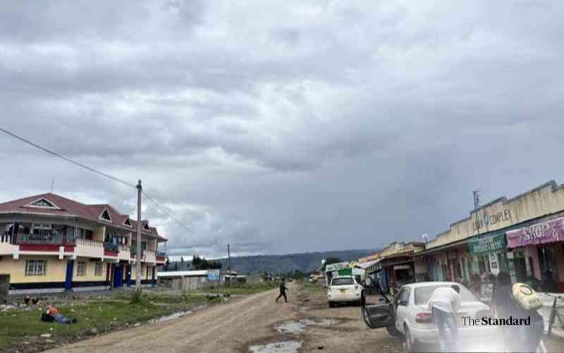 Kariamu: We should all make money in Nairobi and spend it in rural areas