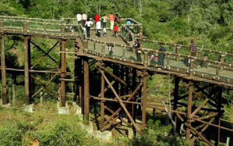 KWS unveils express lanes at Nairobi National Park